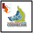 Pocos periodistas acuden a Codhecam. 